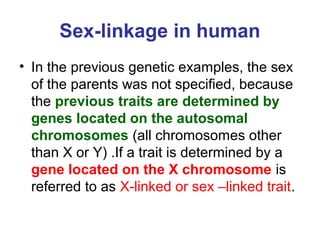 Sex-linkage in human
• In the previous genetic examples, the sex
of the parents was not specified, because
the previous traits are determined by
genes located on the autosomal
chromosomes (all chromosomes other
than X or Y) .If a trait is determined by a
gene located on the X chromosome is
referred to as X-linked or sex –linked trait.
 
