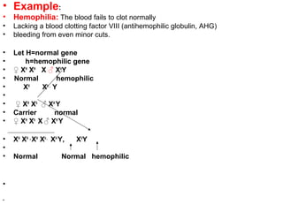 • Example:
• Hemophilia: The blood fails to clot normally
• Lacking a blood clotting factor VIII (antihemophilic globulin, AHG)
• bleeding from even minor cuts.
• Let H=normal gene
• h=hemophilic gene
• ♀ XH
XH
X ♂ Xh
Y
• Normal hemophilic
• XH
Xh ,
Y
•
• ♀ XH
Xh
♂ XH
Y
• Carrier normal
• ♀ XH
Xh
X ♂ XH
Y
• XH
XH ,,
XH
Xh ,
XH
Y, Xh
Y
•
• Normal Normal hemophilic
•
•
 