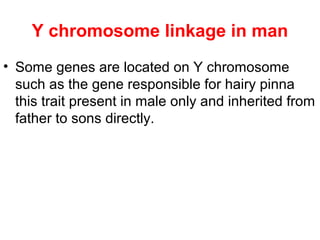 Y chromosome linkage in man
• Some genes are located on Y chromosome
such as the gene responsible for hairy pinna
this trait present in male only and inherited from
father to sons directly.
 
