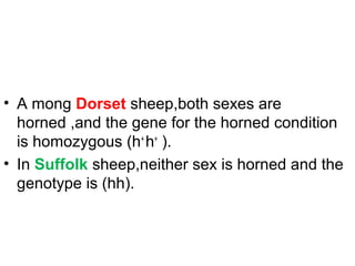 • A mong Dorset sheep,both sexes are
horned ,and the gene for the horned condition
is homozygous (h+
h+
).
• In Suffolk sheep,neither sex is horned and the
genotype is (hh).
 