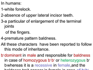 In humans:
1-white forelock.
2-absence of upper lateral incisor teeth.
3-a particular of enlargement of the terminal
joints
of the fingers.
4-premature pattern baldness.
All these characters have been reported to follow
this mode of inheritance.
b+
dominant in male and responsible for baldness
in case of homozygous b+
b+
or heterozygous b+
b,
whereas it is a recessive in female,and the
 