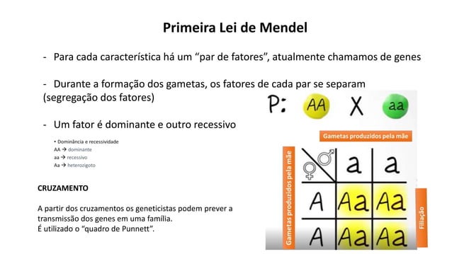1 GENÉTICA - 1ª LEI DE MENDEL 2903.pptx