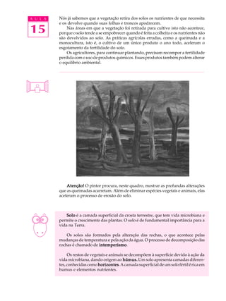 A U L A   Nós já sabemos que a vegetação retira dos solos os nutrientes de que necessita
          e os devolve quando suas folhas e troncos apodrecem.

15            Nas áreas em que a vegetação foi retirada para cultivo isto não acontece,
          porque o solo tende a se empobrecer quando é feita a colheita e os nutrientes não
          são devolvidos ao solo. As práticas agrícolas erradas, como a queimada e a
          monocultura, isto é, o cultivo de um único produto o ano todo, aceleram o
          esgotamento da fertilidade do solo.
              Os agricultores, para continuar plantando, precisam recompor a fertilidade
          perdida com o uso de produtos químicos. Esses produtos também podem alterar
          o equilíbrio ambiental.




              Atenção! O pintor procura, neste quadro, mostrar as profundas alterações
          que as queimadas acarretam. Além de eliminar espécies vegetais e animais, elas
          aceleram o processo de erosão do solo.



              Solo é a camada superficial da crosta terrestre, que tem vida microbiana e
          permite o crescimento das plantas. O solo é de fundamental importância para a
          vida na Terra.

              Os solos são formados pela alteração das rochas, o que acontece pelas
          mudanças de temperatura e pela ação da água. O processo de decomposição das
                              intemperismo.
          rochas é chamado de intemperismo

               Os restos de vegetais e animais se decompõem à superfície devido à ação da
          vida microbiana, dando origem ao húmus. Um solo apresenta camadas diferen-
          tes, conhecidas como horizontes A camada superficial de um solo fértil é rica em
                                horizontes.
          humus e elementos nutrientes.
 