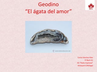 Geodino
“El ágata del amor”
Carlos Sánchez Páez
1º Bach (C)
IES “Pedro Espinosa”
Antequera (Málaga)
 