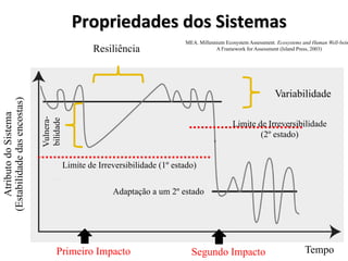Propriedades dos Sistemas
Propriedades dos Sistemas
Atributo
do
Sistema
(Estabilidade
das
encostas)
Resiliência
Tempo
Primeiro Impacto Segundo Impacto
Variabilidade
Limite de Irreversibilidade (1º estado)
Limite de Irreversibilidade
(2º estado)
Adaptação a um 2º estado
MEA. Millennium Ecosystem Assessment. Ecosystems and Human Well-bein
A Framework for Assessment (Island Press, 2003)
Vulnera-
bilidade
 