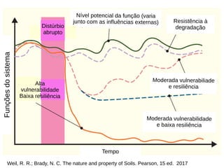 Weil, R. R.; Brady, N. C. The nature and property of Soils. Pearson, 15 ed. 2017
Funções
do
sistema
Resistência à
degradação
Nível potencial da função (varia
junto com as influências externas)
Moderada vulnerabiliade
e resiliência
Moderada vulnerabilidade
e baixa resiliência
Tempo
Distúrbio
abrupto
Alta
vulnerabilidade
Baixa resiliência
 