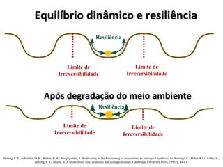 Equilíbrio dinâmico e resiliência
Equilíbrio dinâmico e resiliência
Resiliência
Limite de
Irreversibilidade
Limite de
Irreversibilidade
Resiliência
Limite de
Irreversibilidade
Limite de
Irreversibilidade
Após degradação do meio ambiente
Após degradação do meio ambiente
Holling, C.S.; Schlinder, D.W.; Walker, B.W.; Roughgarden, J. Biodiversity in the functioning of ecosystems: an ecological synthesis. In: Perrings, C.; Mäler, K.G.; Folke, C.;
Holling, C.S.; Jasson, B.O. Biodiversity loss: economic and ecological issues. Cambridge University Press, 1995, p. 44-83
 