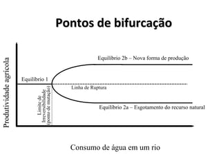 Pontos de bifurcação
Pontos de bifurcação
Produtividade
agrícola
Consumo de água em um rio
Limite
de
Irreversibilidade
(ponto
de
mutação)
Equilíbrio 1
Equilíbrio 2a – Esgotamento do recurso natural
Equilíbrio 2b – Nova forma de produção
Linha de Ruptura
 