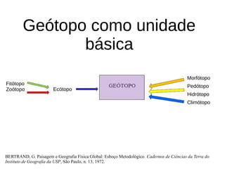 Geótopo como unidade
básica
BERTRAND, G. Paisagem e Geografia Física Global: Esboço Metodológico. Cadernos de Ciências da Terra do
Instituto de Geografia da USP, São Paulo, n. 13, 1972.
Fitótopo
Zoótopo Ecótopo
Morfótopo
Pedótopo
Hidrótopo
Climótopo
 