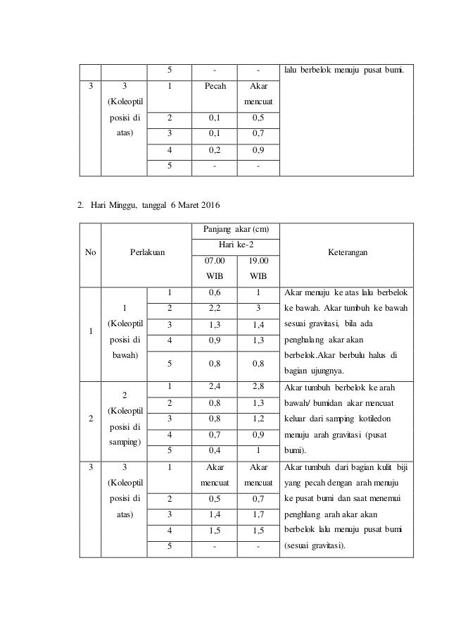 Geotropisme Negatif Merupakan Respon Pada Tumbuhan Dalam Bentuk