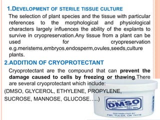 1.DEVELOPMENT OF STERILE TISSUE CULTURE
The selection of plant species and the tissue with particular
references to the morphological and physiological
characters largely influences the ability of the explants to
survive in cryopreservation.Any tissue from a plant can be
used for cryopreservation
e.g.meristems,embryos,endosperm,ovules,seeds,culture
plants.
2.ADDITION OF CRYOPROTECTANT
Cryoprotectant are the compound that can prevent the
damage caused to cells by freezing or thawing.There
are several cryoprotectant which include:
(DMSO, GLYCEROL, ETHYLENE, PROPYLENE,
SUCROSE, MANNOSE, GLUCOSE…..)
 