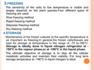 3.FREEZING
The sensitivity of the cells to low temperature is visible and
largely depends on the plant species.Four different types of
freezing are used.
 Slow freezing method
 Rapid freezing method
 Stepwise freezing method
 Dry freezing method
4.STORAGE
Maintenance of the frozen cultures at the specific temperature is
as important as freezing.In general,the frozen cells/tissues are
kept for storage at temperature in the range of -72 to-196°C.
Storage is ideally done in liquid nitrogen refrigerator at -
150°C in the vapour phase,or at -196°C in the liquid phase.
The ultimate objective of storage is to stop all the cellular
metabolic activities and maintain their viability .For long term
storage temperatue at -196°C in liquid nitrogen is ideal.
 