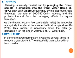 5.THAWING
Thawing is usually carried out by plunging the frozen
sample in ampoules into the warm water (temp 35-
45°C) bath with vigorous swirling. By this approach,rapid
thawing(at the rate of 500-750°Cmin-1)occurs, and this
protects the cell from the damaging effects ice crystal
formation.
As the thawing occurs (ice completely melts) the ampoules
are quickly transferred to a water bath at temperature 20-
25°C. This transfer is necessary since the cells get
damaged if left for long in warm(35-45°C) water bath.
6.RECULTURE
In general thawed germplasm is washed several times to
remove cryoprotectant. The material is then cultured in a
fresh media.
 