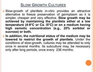 SLOW GROWTH CULTURES
 Slow-growth of plantlets in-vitro provides an attractive
alternative to freeze preservation of germplasm as it is
simpler, cheaper and very effective. Slow growth may be
achieved by maintaining the plantlets either at a low
temperature (4-9°C or Ca. I5°C) or on a medium having
high osmotic concentration (e.g., 20% sorbitol or
sucrose) or both.
 In addition, the nutritional status of the medium may be
lowered to restrict the growth of plantlets. Under the
conditions of slow-growth, cultures may be attended to only
once in several months. Its subculture may, be necessary
only after long periods, once every 236 months.
 