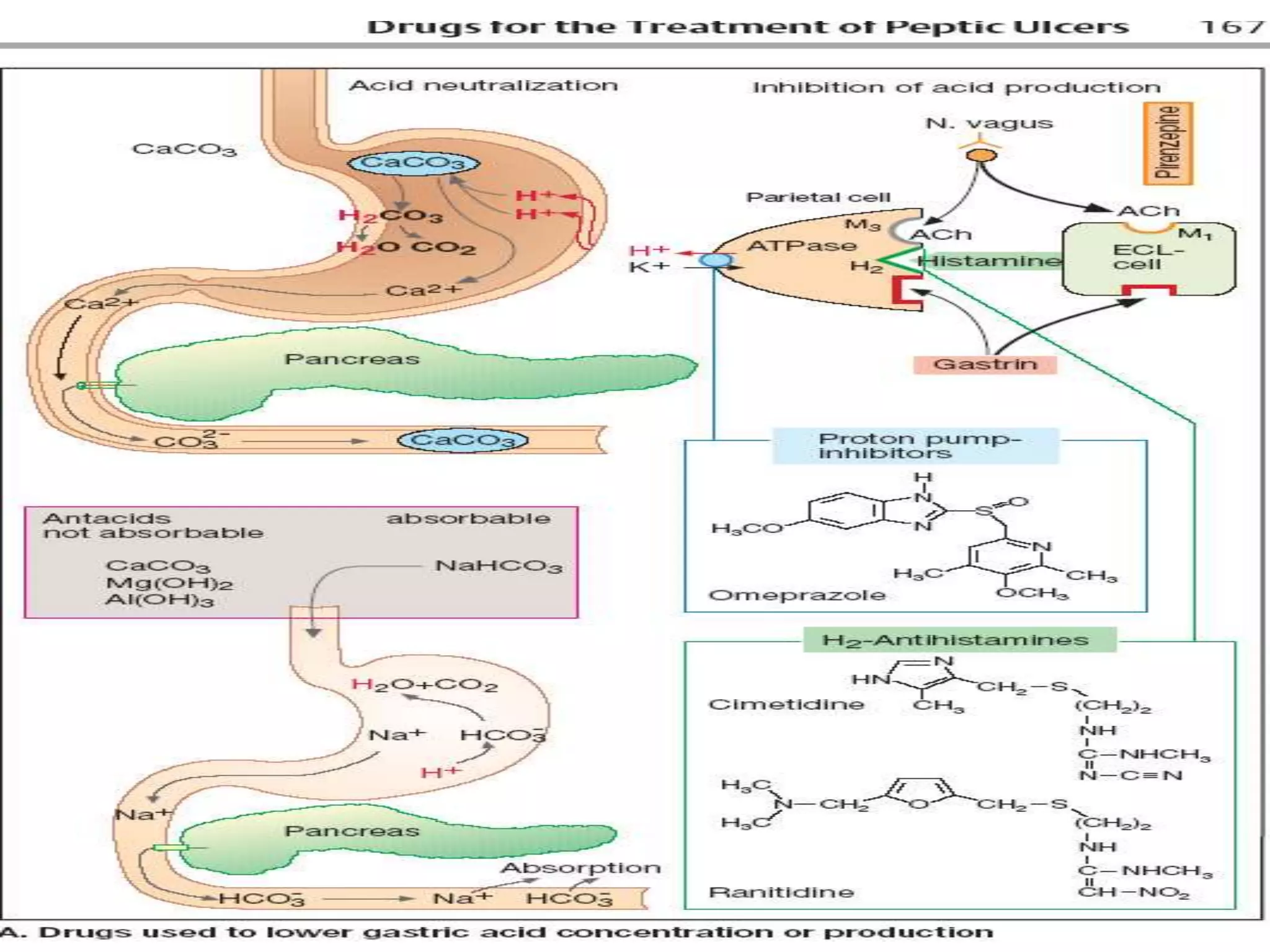 Mastering Gi Pharmacology:  The 4.0 Breakthrough - jqfrxh0