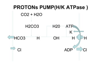 PROTONs PUMP(H/K ATPase )
CO2 + H2O
H2CO3 H20 ATP
K
HCO3 H OH H H
Cl ADP Cl
 