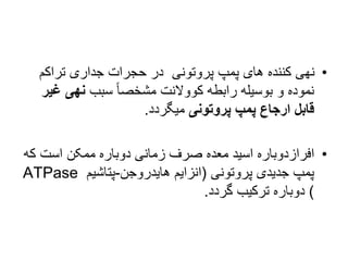 •
‫تراکم‬ ‫جداری‬ ‫حجرات‬ ‫در‬ ‫پروتونی‬ ‫پمپ‬ ‫های‬ ‫کننده‬ ‫نهی‬
‫سبب‬ ً‫ا‬‫مشخص‬ ‫کووالنت‬ ‫رابطه‬ ‫بوسیله‬ ‫و‬ ‫نموده‬
‫غ‬ ‫نهی‬
‫یر‬
‫پروتونی‬ ‫پمپ‬ ‫ارجاع‬ ‫قابل‬
‫میگردد‬
.
•
‫ک‬ ‫است‬ ‫ممکن‬ ‫دوباره‬ ‫زمانی‬ ‫صرف‬ ‫معده‬ ‫اسید‬ ‫افرازدوباره‬
‫ه‬
‫پروتونی‬ ‫جدیدی‬ ‫پمپ‬
(
‫هایدروجن‬ ‫انزایم‬
-
‫پتاشیم‬
ATPase
)
‫گردد‬ ‫ترکیب‬ ‫دوباره‬
.
 