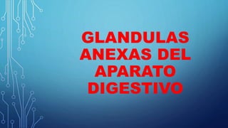 GLANDULAS
ANEXAS DEL
APARATO
DIGESTIVO
 