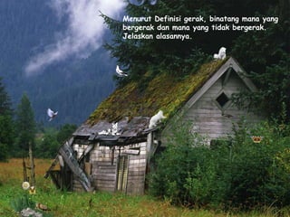 Menurut Definisi gerak, binatang mana yang
bergerak dan mana yang tidak bergerak.
Jelaskan alasannya.
 