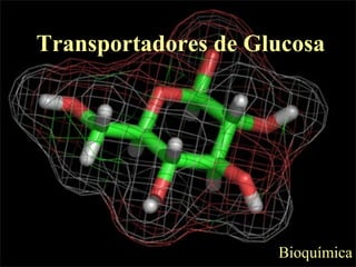Transportadores de Glucosa
Bioquímica
 