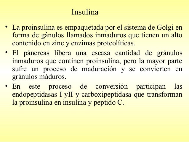 Insulina, Glucagon y Tranportadores de glucosa: Glut SGlut Insulina, Glucagon y Tranportadores de glucosa: Glut SGlut