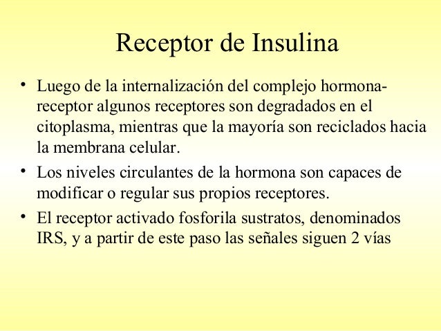 Insulina, Glucagon y Tranportadores de glucosa: Glut SGlut Insulina, Glucagon y Tranportadores de glucosa: Glut SGlut