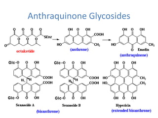 Anthraquinone Glycosides
 