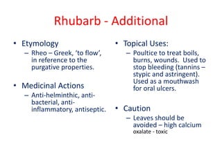 Rhubarb - Additional
• Etymology
– Rheo – Greek, ‘to flow’,
in reference to the
purgative properties.
• Medicinal Actions
– Anti-helminthic, anti-
bacterial, anti-
inflammatory, antiseptic.
• Topical Uses:
– Poultice to treat boils,
burns, wounds. Used to
stop bleeding (tannins –
stypic and astringent).
Used as a mouthwash
for oral ulcers.
• Caution
– Leaves should be
avoided – high calcium
oxalate - toxic
 