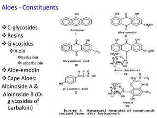 Aloes - Constituents
C-glycosides
Resins
Glycosides
Aloin
Barbaloin
Isobarbaloin
Aloe-emodin
Cape Aloes:
Aloinoside A &
Aloinoside B (O-
glycosides of
barbaloin)
 