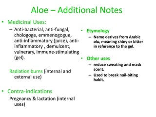 Aloe – Additional Notes
• Medicinal Uses:
– Anti-bacterial, anti-fungal,
chologoge, emmenogogue,
anti-inflammatory (juice), anti-
inflammatory , demulcent,
vulnerary, immune-stimulating
(gel).
Radiation burns (internal and
external use)
• Contra-indications
Pregnancy & lactation (internal
uses)
• Etymology
– Name derives from Arabic
alu, meaning shiny or bitter
in reference to the gel.
• Other uses
– reduce sweating and mask
scent.
– Used to break nail-biting
habit.
 