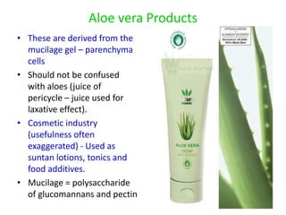 Aloe vera Products
• These are derived from the
mucilage gel – parenchyma
cells
• Should not be confused
with aloes (juice of
pericycle – juice used for
laxative effect).
• Cosmetic industry
(usefulness often
exaggerated) - Used as
suntan lotions, tonics and
food additives.
• Mucilage = polysaccharide
of glucomannans and pectin
 