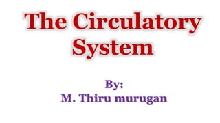 By:
M. Thiru murugan
The Circulatory
System
 