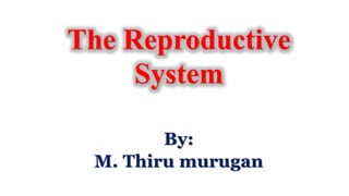 By:
M. Thiru murugan
The Reproductive
System
 