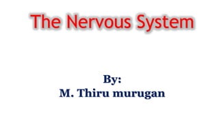 By:
M. Thiru murugan
The Nervous System
 