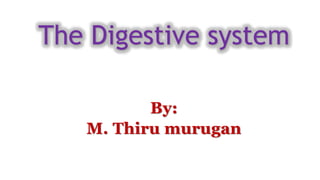 By:
M. Thiru murugan
The Digestive system
 