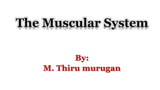 By:
M. Thiru murugan
The Muscular System
 