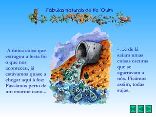 A única coisa que estragou a festa foi o que nos aconteceu, já estávamos quase a chegar aqui à foz: Passámos perto de um enorme cano... - ...e de lá saíam umas coisas escuras que se agarravam a nós. Ficámos assim, todas sujas. 