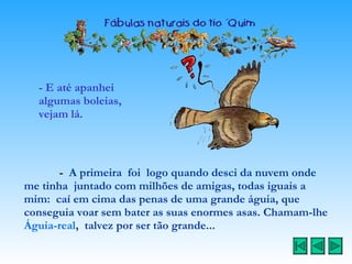 - E até apanhei algumas boleias, vejam lá. -  A primeira  foi  logo quando desci da nuvem onde me tinha  juntado com milhões de amigas, todas iguais a mim:  caí em cima das penas de uma grande águia, que conseguia voar sem bater as suas enormes asas. Chamam-lhe  Águia-real ,  talvez por ser tão grande...   