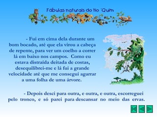 - Fui em cima dela durante um bom bocado, até que ela virou a cabeça de repente, para ver um coelho a correr lá em baixo nos campos.  Como eu estava distraída deitada de costas, desequilibrei-me e lá fui a grande velocidade até que me consegui agarrar a uma folha de uma árvore.  - Depois desci para outra, e outra, e outra, escorreguei  pelo  tronco,  e  só  parei  para descansar  no  meio  das  ervas.   