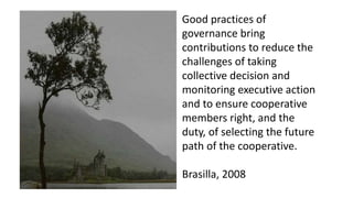 1  Governance and Management