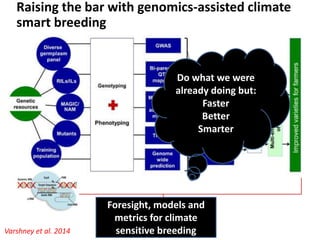 Technology Advantage Breeding new varieties - Graham Thiele CGIAR Research Program on Roots, Tubers and Bananas