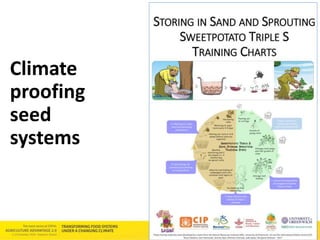 Technology Advantage Breeding new varieties - Graham Thiele CGIAR Research Program on Roots, Tubers and Bananas