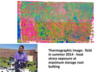 Technology Advantage Breeding new varieties - Graham Thiele CGIAR Research Program on Roots, Tubers and Bananas