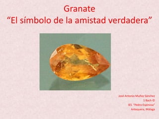Granate
“El símbolo de la amistad verdadera”
José Antonio Muñoz Sánchez
1 Bach ©
IES “Pedro Espinosa”
Antequera, Málaga
 