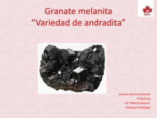 Granate melanita
“Variedad de andradita”
Carmen Herrera Morente
1º Bach (D)
IES “Pedro Espinosa”
Antequera (Málaga)
 