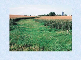1 grassed water ways | PPT