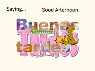 Saying… Good Afternoon!
 