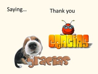 Saying… Thank you
 