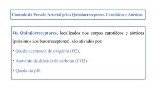 Controle da Pressão Arterial pelos Quimiorreceptores Carotídeos e Aórticos
Os Quimiorreceptores, localizados nos corpos carotídeos e aórticos
(próximos aos barorreceptores), são ativados por:
• Queda acentuada de oxigénio (O2),
• Aumento de dióxido de carbono (CO2)
• Queda do pH.
 