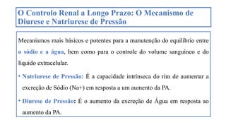 O Controlo Renal a Longo Prazo: O Mecanismo de
Diurese e Natriurese de Pressão
Mecanismos mais básicos e potentes para a manutenção do equilíbrio entre
o sódio e a água, bem como para o controle do volume sanguíneo e do
líquido extracelular.
• Natriurese de Pressão: É a capacidade intrínseca do rim de aumentar a
excreção de Sódio (Na+) em resposta a um aumento da PA.
• Diurese de Pressão: É o aumento da excreção de Água em resposta ao
aumento da PA.
 